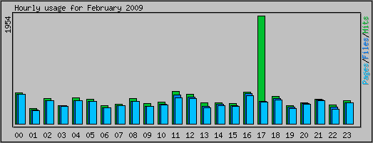 Hourly usage