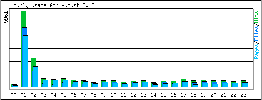 Hourly usage