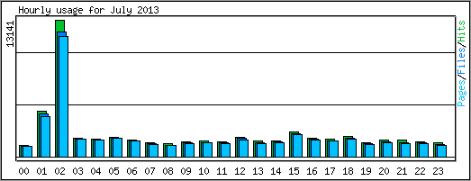 Hourly usage