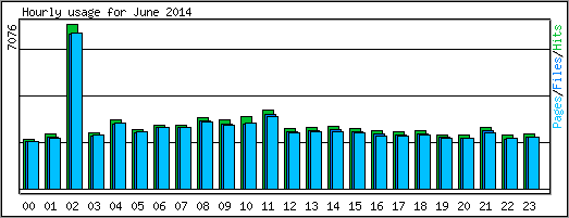 Hourly usage