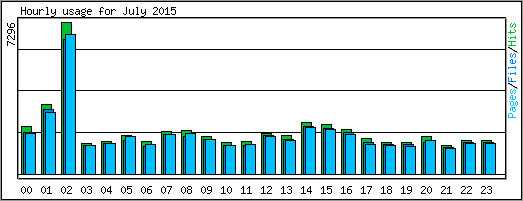 Hourly usage