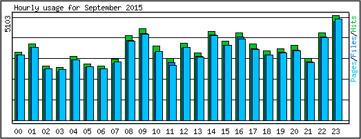 Hourly usage