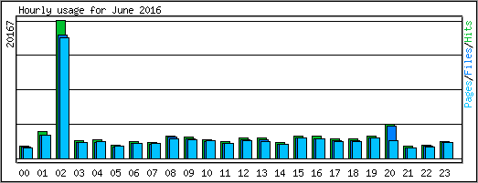 Hourly usage
