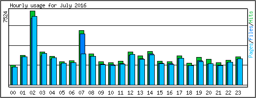Hourly usage