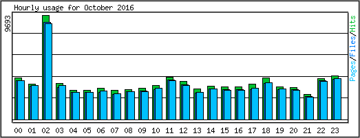 Hourly usage