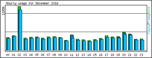 Hourly usage