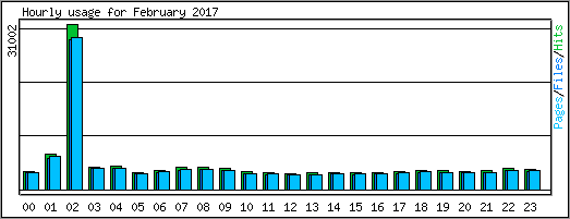 Hourly usage