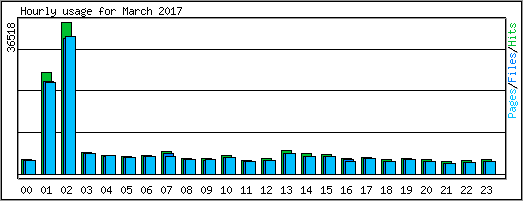 Hourly usage