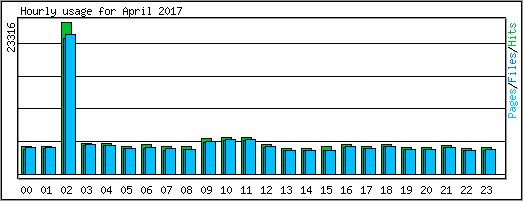 Hourly usage