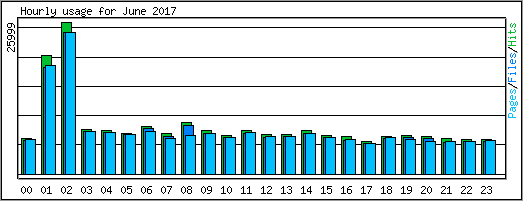 Hourly usage