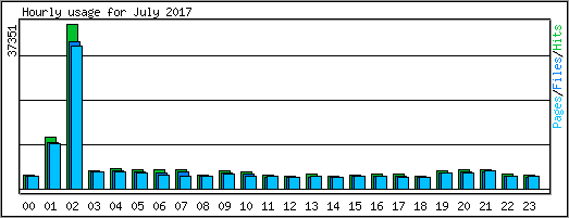 Hourly usage