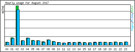 Hourly usage