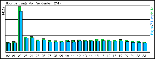 Hourly usage