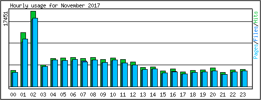 Hourly usage