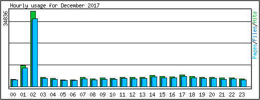 Hourly usage