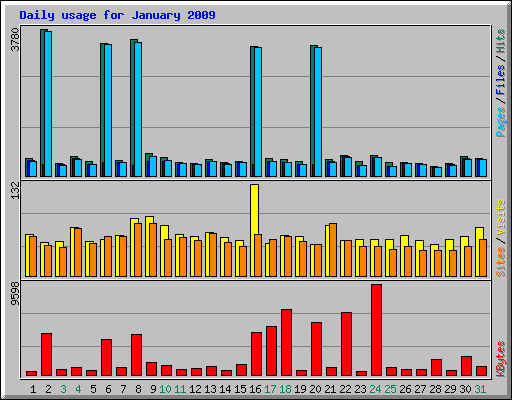 Daily usage for January 2009