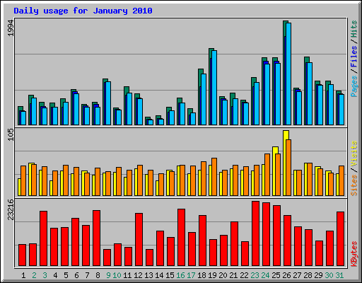 Daily usage for January 2010