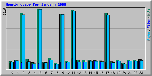 Hourly usage for January 2009