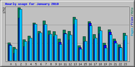 Hourly usage for January 2010