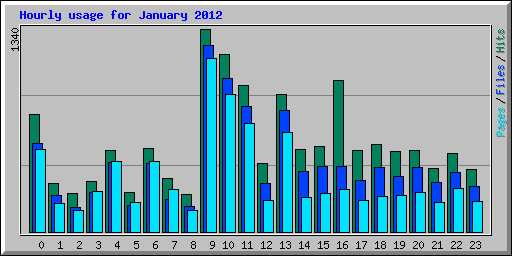 Hourly usage for January 2012